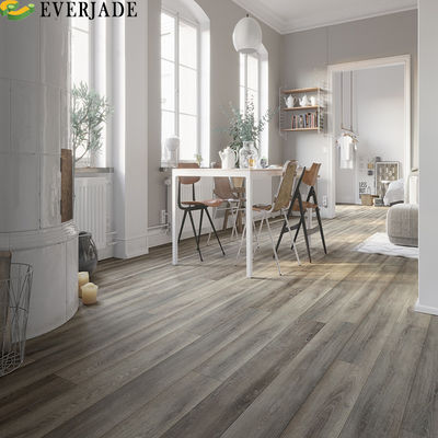 Plancher à l' eau Herringbone Roche bois Herringbone Chevron Spc pour le design moderne