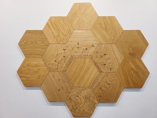 Planchers en bois d'ingénierie de type parquet Planchers en bois en marbre antique Teck Oak Walnut