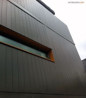 Panneau de mur extérieur à extrusion de couleur personnalisée en WPC pour revêtement extérieur moderne